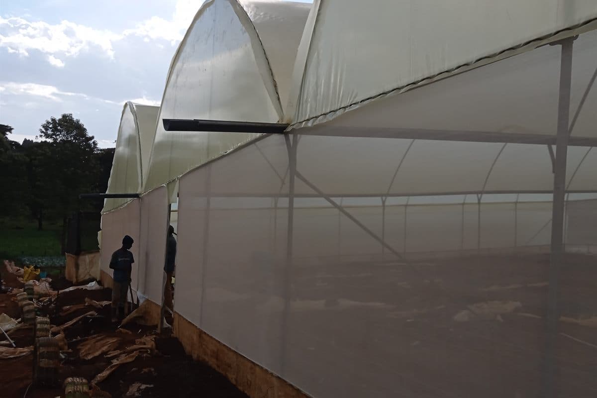 Grace Rock Farms greenhouse exterior
