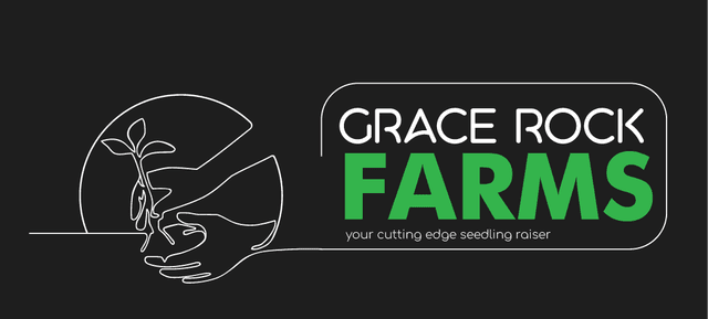 Grace Rock Farms